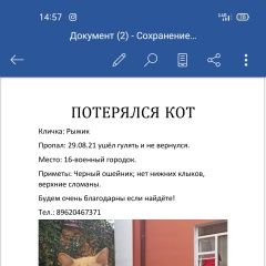 Подробнее об объявлении «Пропал кот рыжик Омск» Фото: пропала кошка  «Пропал кот рыжик Омск» в г. Омск