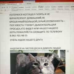 Подробнее об объявлении «Пропал кот Всеволожск» Фото: пропала кошка  «Пропал кот Всеволожск» в г. Всеволожск