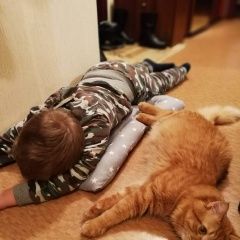 Подробнее об объявлении «Пропал кот член семьи Нарофоминск» Фото: пропала кошка  «Пропал кот член семьи Нарофоминск» в г. Нарофоминск