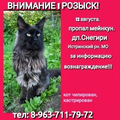 Подробнее об объявлении «Пропал кот мейнкун снегири мо Дедовск» Фото: пропала кошка Мейн-кун «Пропал кот мейнкун снегири мо Дедовск» в г. Дедовск