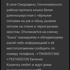 Подробнее об объявлении «Пропала кошка за вознаграждение Сенгилей» Фото: пропала кошка  «Пропала кошка за вознаграждение Сенгилей» в г. Сенгилей