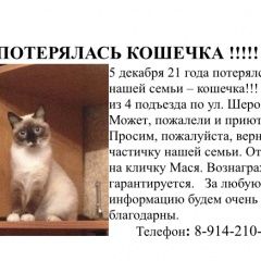 Подробнее об объявлении «Хабаровск Пропала кошка» Фото: пропала кошка Сноу-шу «Хабаровск Пропала кошка» в г. Хабаровск