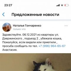 Подробнее об объявлении «Пропала кошка кошку Солнечногорск» Фото: пропала кошка  «Пропала кошка кошку Солнечногорск» в г. Солнечногорск