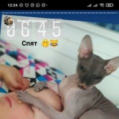 ����: ������� ����� ������ �������� ����� 14.12 �������������� �������...� � �. �����-���������