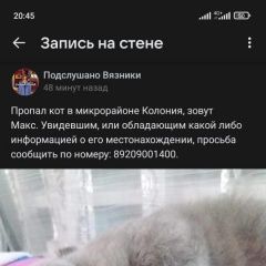 Подробнее об объявлении «Пропал кот Вязники» Фото: пропала кошка Британская короткошерстная кошка «Пропал кот Вязники» в г. Вязники