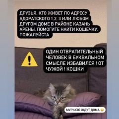Подробнее об объявлении «Пропала кошка Казань» Фото: пропала кошка Сибирская кошка «Пропала кошка Казань» в г. Казань