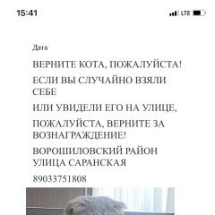 Подробнее об объявлении «Волгоград Пропал кот помогите за вознаграждение» Фото: пропала кошка Японский шпиц «Волгоград Пропал кот помогите за вознаграждение» в г. Волгоград