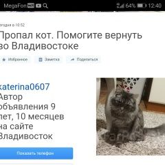 Подробнее об объявлении «Владивосток Пропал кот» Фото: пропала кошка  «Владивосток Пропал кот» в г. Владивосток