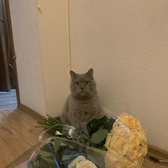 ����: ������� ����� ���������� ��������������� ����� ������� ������ ��� ������� ���� � �. ������