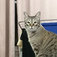 ����: ������� �����  ������� ��� ����� � �. �����