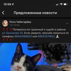 Подробнее об объявлении «Пропала кошка Конаково» Фото: пропала кошка  «Пропала кошка Конаково» в г. Конаково