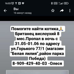 Подробнее об объявлении «Пропал кот Волгодонск» Фото: пропала кошка Британская короткошерстная кошка «Пропал кот Волгодонск» в г. Волгодонск