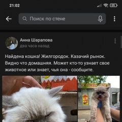 Подробнее об объявлении «Волгоград Пропал кот верните пожалуйста» Фото: пропала кошка  «Волгоград Пропал кот верните пожалуйста» в г. Волгоград