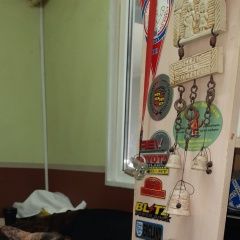 Подробнее об объявлении «Пропала кошка Магнитогорск» Фото: пропала кошка  «Пропала кошка Магнитогорск» в г. Магнитогорск