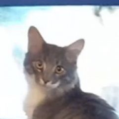 ����: ������� �����  ������ ������ ��� � �. �����