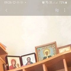 Подробнее об объявлении «Саратов Пропал кот» Фото: пропала кошка Бенгальская кошка «Саратов Пропал кот» в г. Саратов