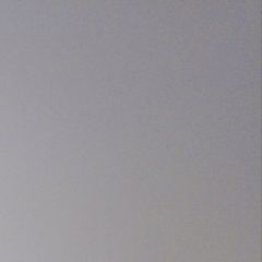 Подробнее об объявлении «Пропала кошка Новокузнецк» Фото: пропала кошка  «Пропала кошка Новокузнецк» в г. Новокузнецк