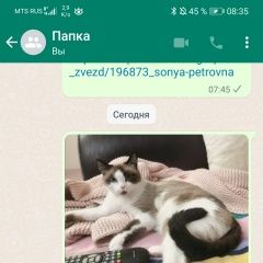 Подробнее об объявлении «Пропала кошка бело серая нур-султан Астана Акмолинская обл. (Целиноградская обл.)» Фото: пропала кошка  «Пропала кошка бело серая нур-султан Астана...» в г. Астана Акмолинская обл. (Целиноградская обл.)