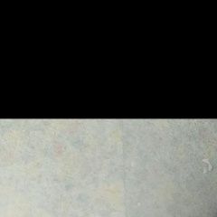 Подробнее об объявлении «Пропал кот Дмитров» Фото: пропала кошка  «Пропал кот Дмитров» в г. Дмитров