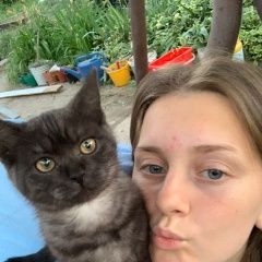 Подробнее об объявлении «Пропала кошка Анапа» Фото: пропала кошка  «Пропала кошка Анапа» в г. Анапа