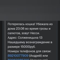 Подробнее об объявлении «Калининград (Кенигсберг) Пропала кошка 15 000 вознаграждение» Фото: пропала кошка Бенгальская кошка «Калининград (Кенигсберг) Пропала кошка 15 000...» в г. Калининград (Кенигсберг)