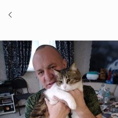 Подробнее об объявлении «Севастополь Пропал кот по кличке кампот» Фото: пропала кошка  «Севастополь Пропал кот по кличке кампот» в г. Севастополь