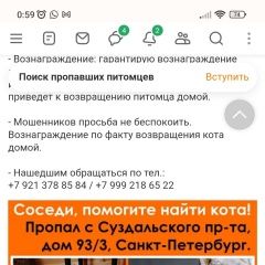 Подробнее об объявлении «Пропал кот бари Санкт-Петербург» Фото: пропала кошка  «Пропал кот бари Санкт-Петербург» в г. Санкт-Петербург