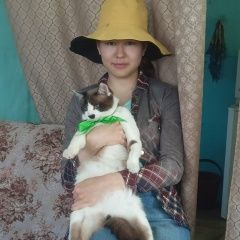 Подробнее об объявлении «Пропал кот Улан-Удэ» Фото: пропала кошка Сиамская кошка «Пропал кот Улан-Удэ» в г. Улан-Удэ