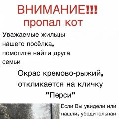 Подробнее об объявлении «Пропал кот помогите найти Пироговский» Фото: пропала кошка  «Пропал кот помогите найти Пироговский» в г. Пироговский