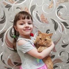 Подробнее об объявлении «Пропал кот Нягань» Фото: пропала кошка  «Пропал кот Нягань» в г. Нягань