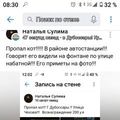 Подробнее об объявлении «Пропал кот Дубоссары» Фото: пропала кошка  «Пропал кот Дубоссары» в г. Дубоссары