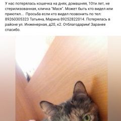 Подробнее об объявлении «Москва Пропала кошка кличка мася» Фото: пропала кошка  «Москва Пропала кошка кличка мася» в г. Москва