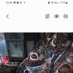 Подробнее об объявлении «Пропала кошка на древлянке Петрозаводск» Фото: пропала кошка  «Пропала кошка на древлянке Петрозаводск» в г. Петрозаводск