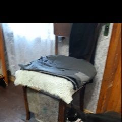 Подробнее об объявлении «Пропал кот. 20 ноября ушел из дома. Сызрань» Фото: пропала кошка  «Пропал кот. 20 ноября ушел из дома. Сызрань» в г. Сызрань