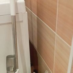 Подробнее об объявлении «Пропал кот Домодедово» Фото: пропала кошка  «Пропал кот Домодедово» в г. Домодедово