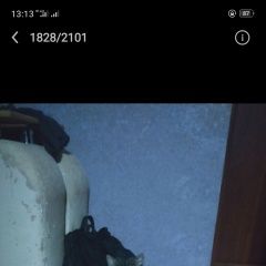 Подробнее об объявлении «Пропал кот Ессентуки» Фото: пропала кошка  «Пропал кот Ессентуки» в г. Ессентуки