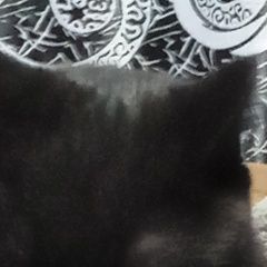 Подробнее об объявлении «Пропал кот черный кот (серый ошейник) Михайловск Ставропольский край» Фото: пропала кошка  «Пропал кот черный кот (серый ошейник)...» в г. Михайловск Ставропольский край