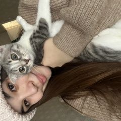 Подробнее об объявлении «Пропала кошка Самара» Фото: пропала кошка  «Пропала кошка Самара» в г. Самара