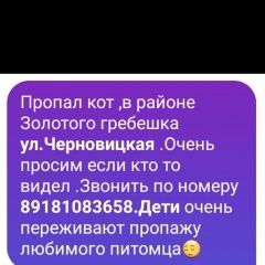 Подробнее об объявлении «Пропал кот Адлер» Фото: пропала кошка  «Пропал кот Адлер» в г. Адлер