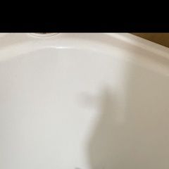 Подробнее об объявлении «Пропала кошка Воронеж» Фото: пропала кошка  «Пропала кошка Воронеж» в г. Воронеж