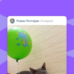 Подробнее об объявлении «Пропал кот Шуя» Фото: пропала кошка  «Пропал кот Шуя» в г. Шуя