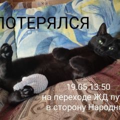 Подробнее об объявлении «Пропал кот помогите вернуть честера домой Санкт-Петербург» Фото: пропала кошка  «Пропал кот помогите вернуть честера домой...» в г. Санкт-Петербург