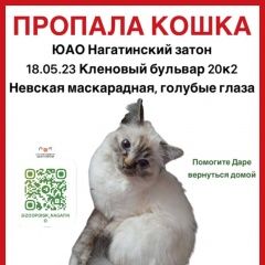 Подробнее об объявлении «Пропала кошка Москва» Фото: пропала кошка Невская маскарадная «Пропала кошка Москва» в г. Москва