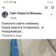 Подробнее об объявлении «Пропала кошка вознаграждение Вязьма» Фото: пропала кошка  «Пропала кошка вознаграждение Вязьма» в г. Вязьма