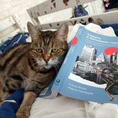 Подробнее об объявлении «Красногорск Пропала кошка» Фото: пропала кошка Скоттиш страйт (шотландская прямоухая) «Красногорск Пропала кошка» в г. Красногорск