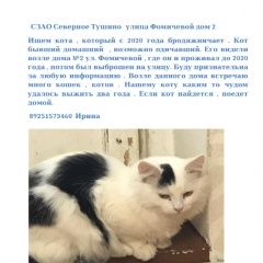 Подробнее об объявлении «Пропал кот ищем потеряшку кота сзао Москва» Фото: пропала кошка  «Пропал кот ищем потеряшку кота сзао Москва» в г. Москва
