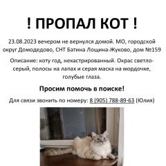Картинка пропала кошка В городе Домодедово потерялся котэ. Домодедово