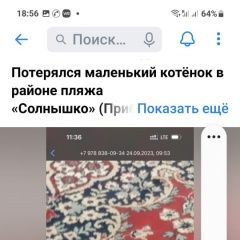 Подробнее об объявлении «Саки Пропала кошка котенок возле пляжа солнышко» Фото: пропала кошка  «Саки Пропала кошка котенок возле пляжа солнышко» в г. Саки