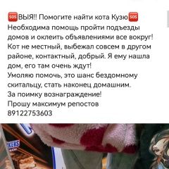 Подробнее об объявлении «Нижний Тагил Пропал кот кузя» Фото: пропала кошка  «Нижний Тагил Пропал кот кузя» в г. Нижний Тагил
