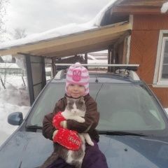 Подробнее об объявлении «Тосно Пропал кот» Фото: пропала кошка  «Тосно Пропал кот» в г. Тосно